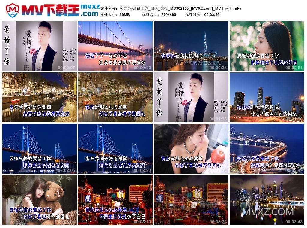房亮亮-爱错了你_国语_流行_MD302150